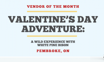 Valentineβs Day Adventure: A Wild Experience with White Pine Bison Valentineβs Day Adventure: A Wild Experience with White Pine Bison